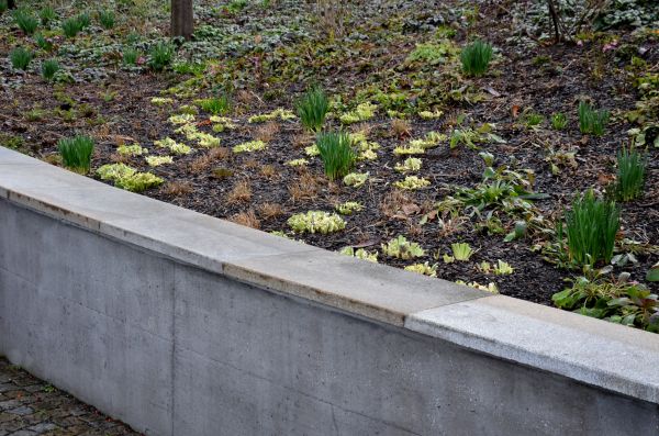 Concrete Wall Construction in Snohomish