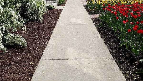 Cement Sidewalk Installation in Snohomish
