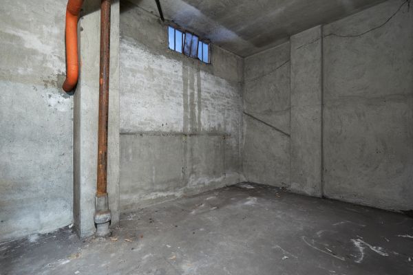 Basement Wall Construction in Snohomish
