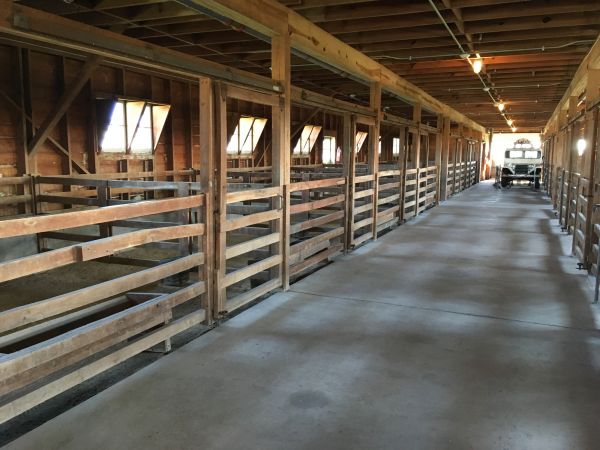 Barn Floor Pouring in Snohomish