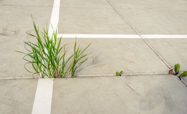 Concrete Parking Installation in Snohomish