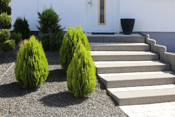 Exterior Steps Construction in Snohomish