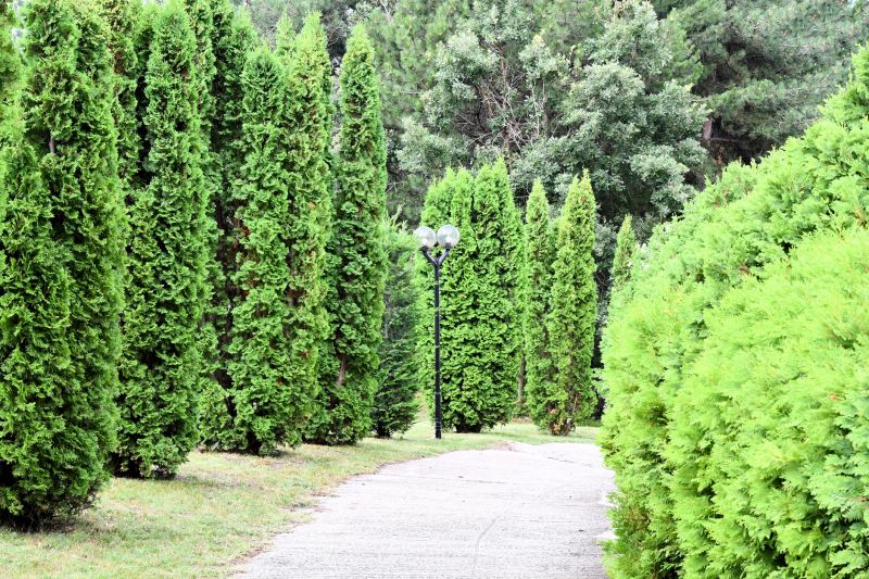 Concrete Path Installation