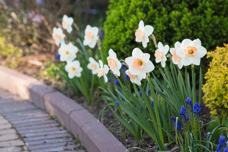 Yard Concrete Installation